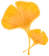 1693209803482.jpg